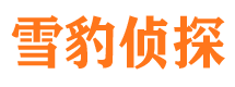 惠州调查公司